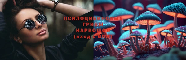 мет Козельск