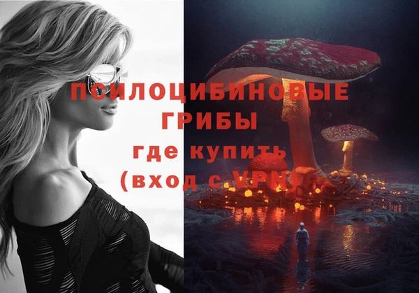 дмт Козловка