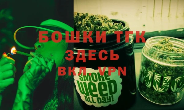 гашик Кодинск