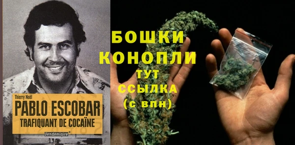 дмт Козловка